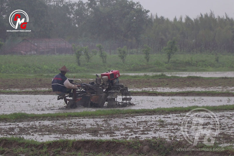 စစ်ပွဲနဲ့ ကုန်စျေးနှုန်းကြား ရခိုင်လယ်သမားတွေ စပါးစိုက်နိုင်ပါ့မလား