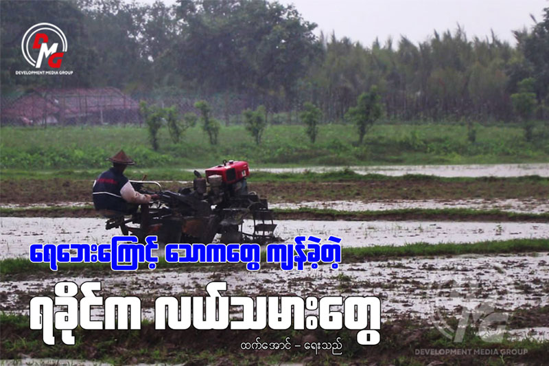 ရေဘေးကြောင့် သောကတွေ ကျန်ခဲ့ရတဲ့ ရခိုင်က လယ်သမားတွေ