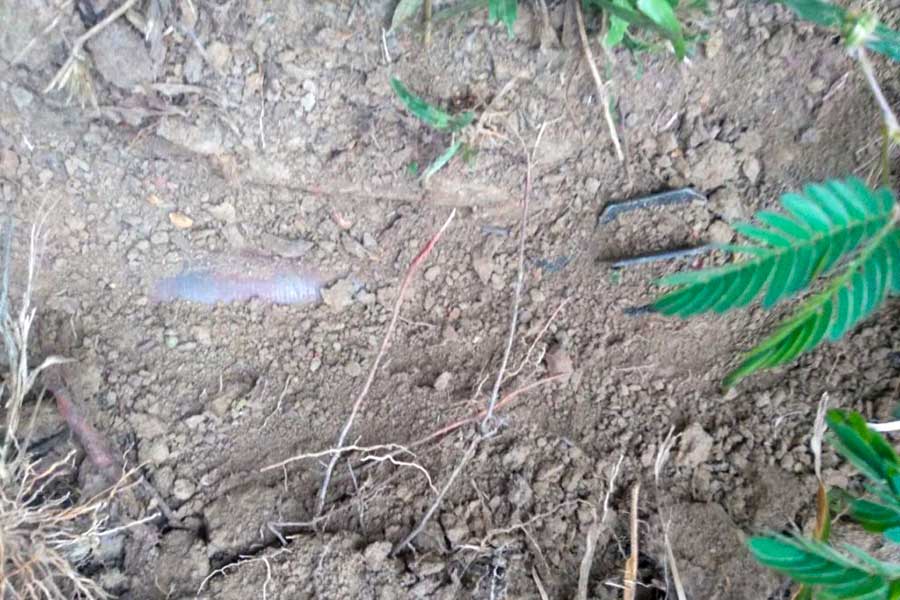 An unexploded mortar shell found in Mrauk-U in early December. (Photo: Supplied)