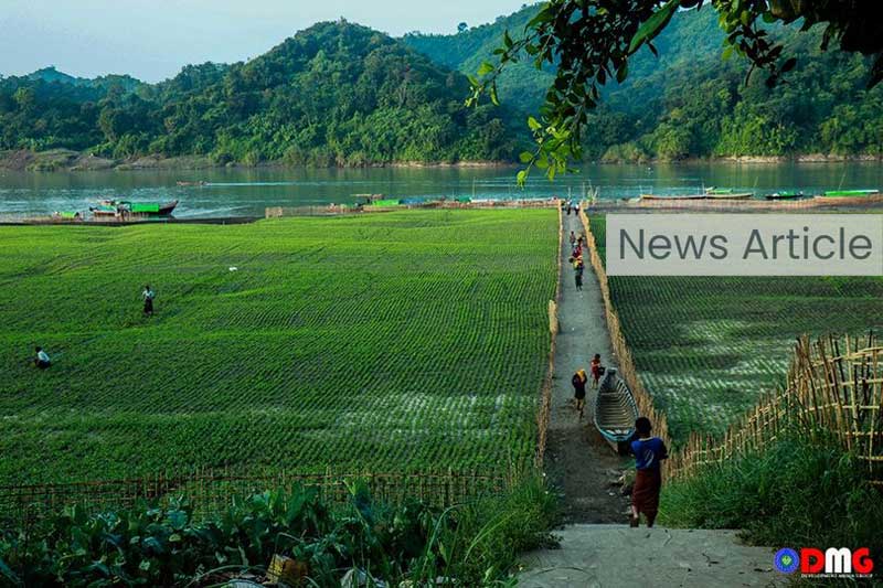 Arakan State Soil Addicted to Chemical Fertilisers