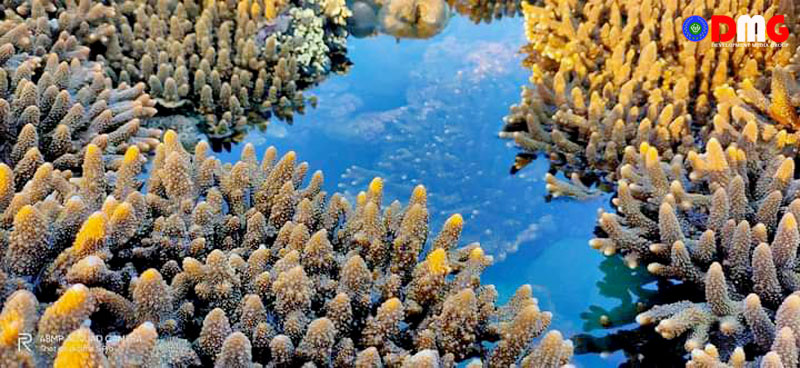 မာန်အောင်ကမ်းခြေရှိ သန္တာကျောက်တန်းများအား တွေ့ရစဉ်။