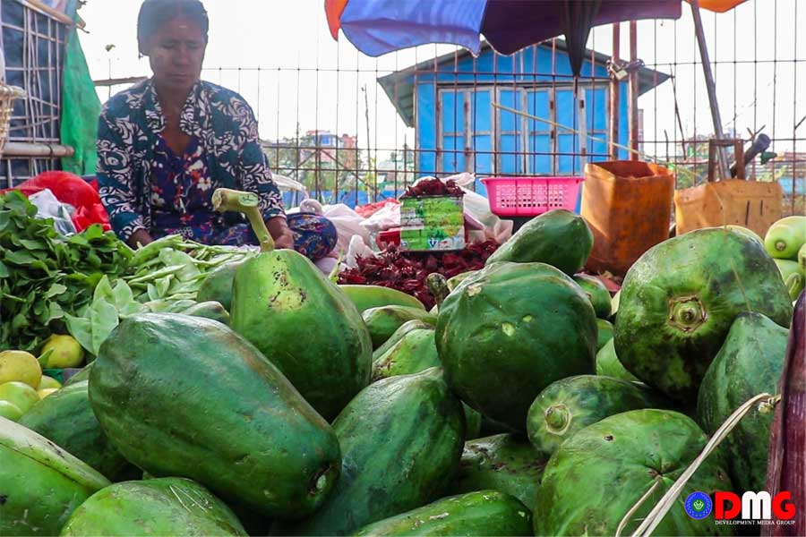 ရခိုင်တွင် သင်္ဘောသီးဈေးကွက် ရှိသော်လည်း စိုက်ပျိုးသူနည်းပါးနေသေး