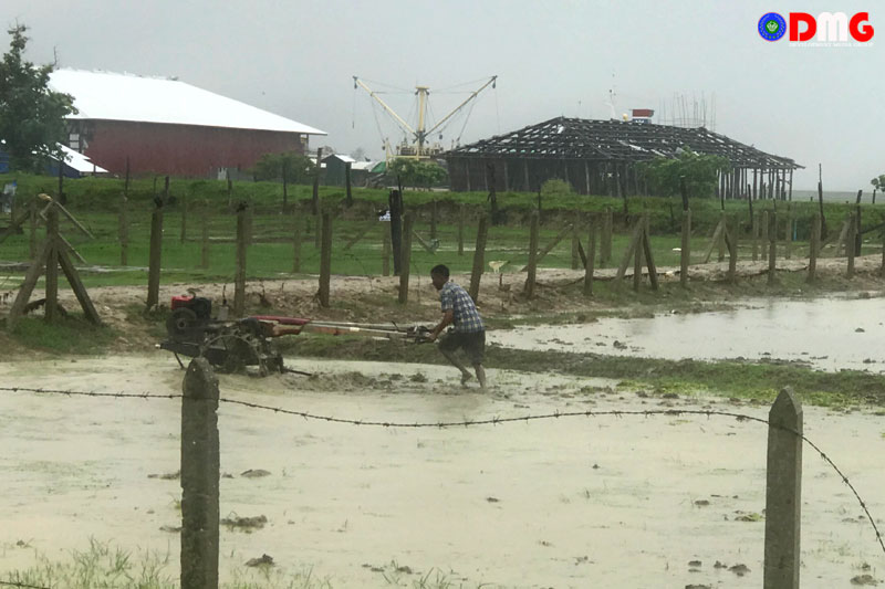 စစ်တွေမြို့နယ်၊ ဇော်မဒတ်ကျေးရွာက ထွန်ယက်ဆဲလယ်ယာမြေများအား ဇူလိုင် ၁၄ ရက်နေ့က တွေ့ရစဉ်။