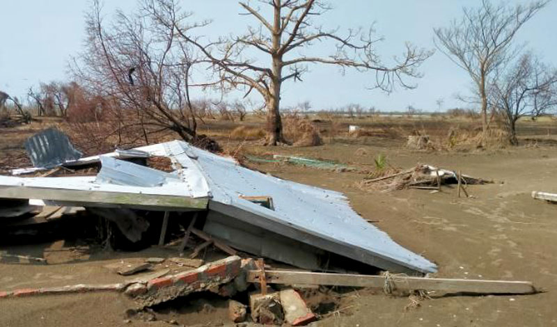 မုန်တိုင်းကြောင့်ပျက်စီးပြုန်းတီးသွားသည့် နံ့သာကျွန်းမှ ဒီရေပင်များကို ၂၀၂၃ ခုနှစ်၊ ဇွန်လ ၇ ရက်နေ့က တွေ့ရစဉ်။