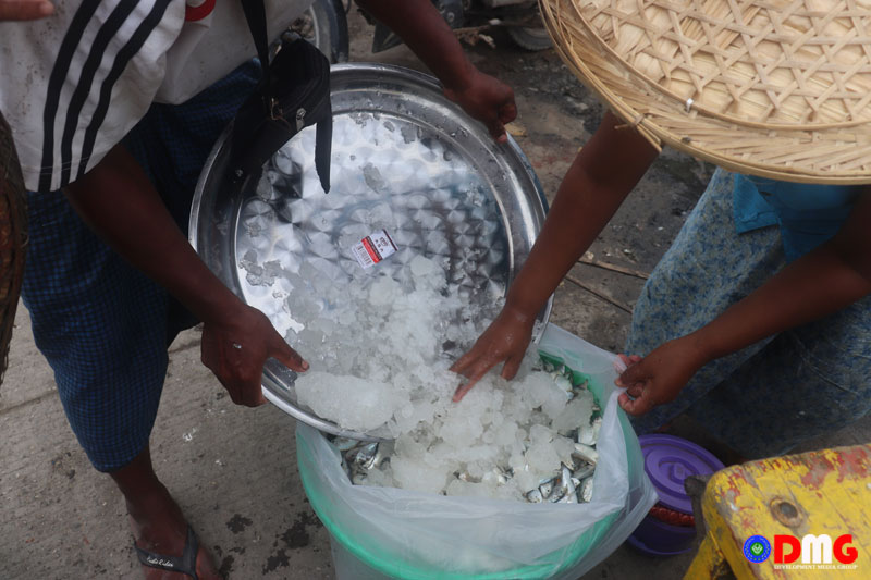 Ice shops and frosted fish in Sittwe’s central market, pictured on June 13, 2023.