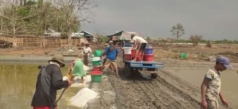 ကျောက်ဖြူမြို့နယ်၊ ဂန့်ဂေါကျေးရွာမှ ယခုနှစ် ဆားလုပ်ကွက်အချို့ကို တွေ့ရစဉ်။ (ဓာတ်ပုံ - ဦးအောင်မျိုးဆက်)