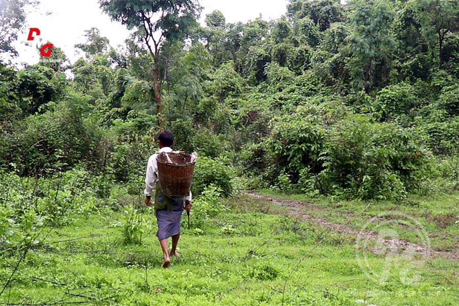 Residents’ livelihoods impacted by threat of ARSA in Maungdaw District