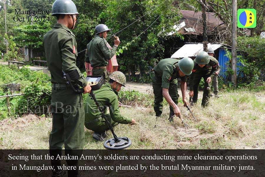  ၂၀၂၄ ခုနှစ်၊ အောက်တိုဘာ ၁ ရက်နေ့က မောင်တောမြို့တွင် AA တပ်ဖွဲ့ဝင်များ မိုင်းရှင်းလင်းရေးလုပ်နေစဉ်။ (ဓာတ်ပုံ - ABN)