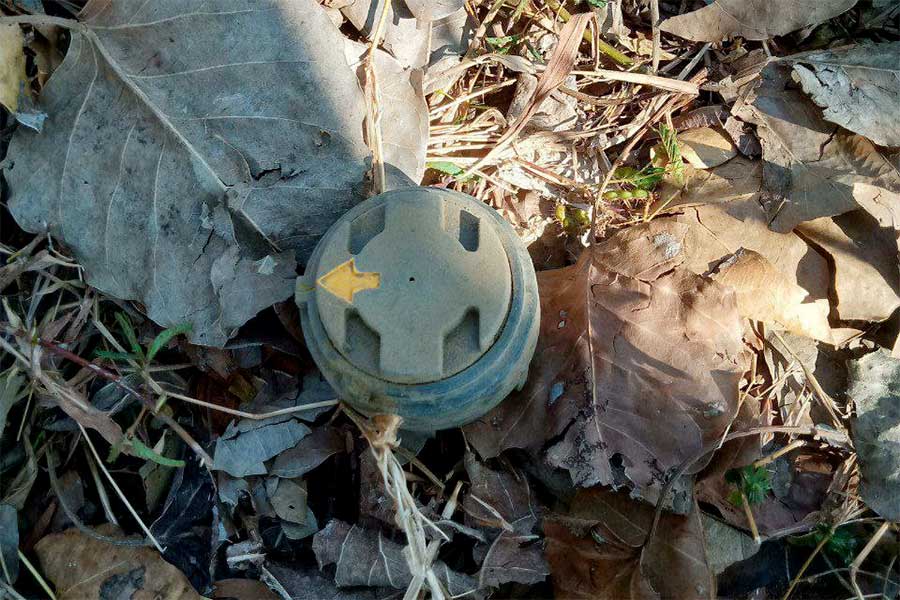 Landmine blast kills teenage boy, injures two others in Rathedaung Twsp