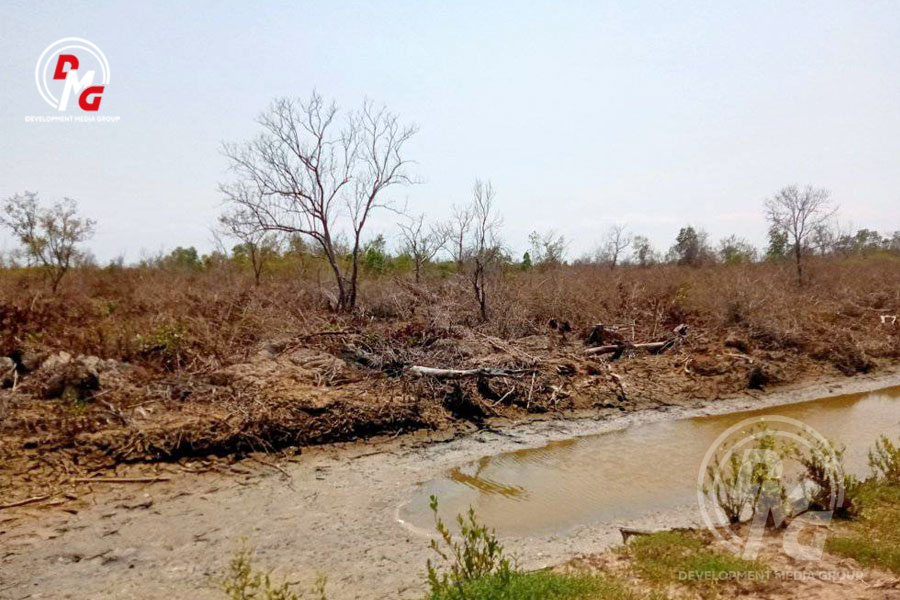Environmental conservation efforts hampered by fighting in Arakan 