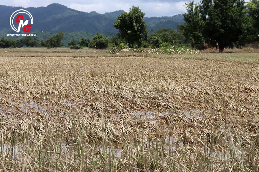 Farms damaged by floods seen on August 6, 2024.