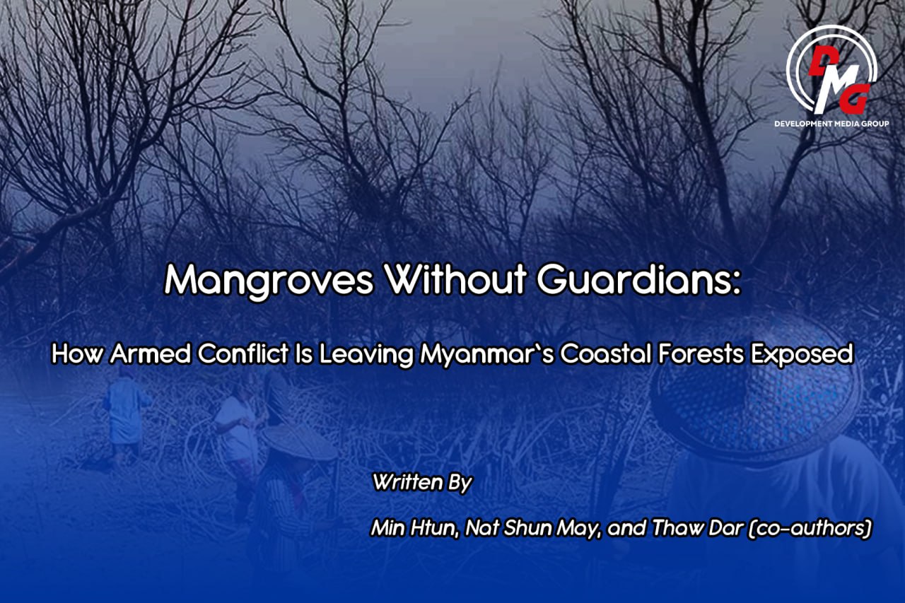 Mangroves Without Guardians: How Armed Conflict Is Leaving Myanmar’s Coastal Forests Exposed