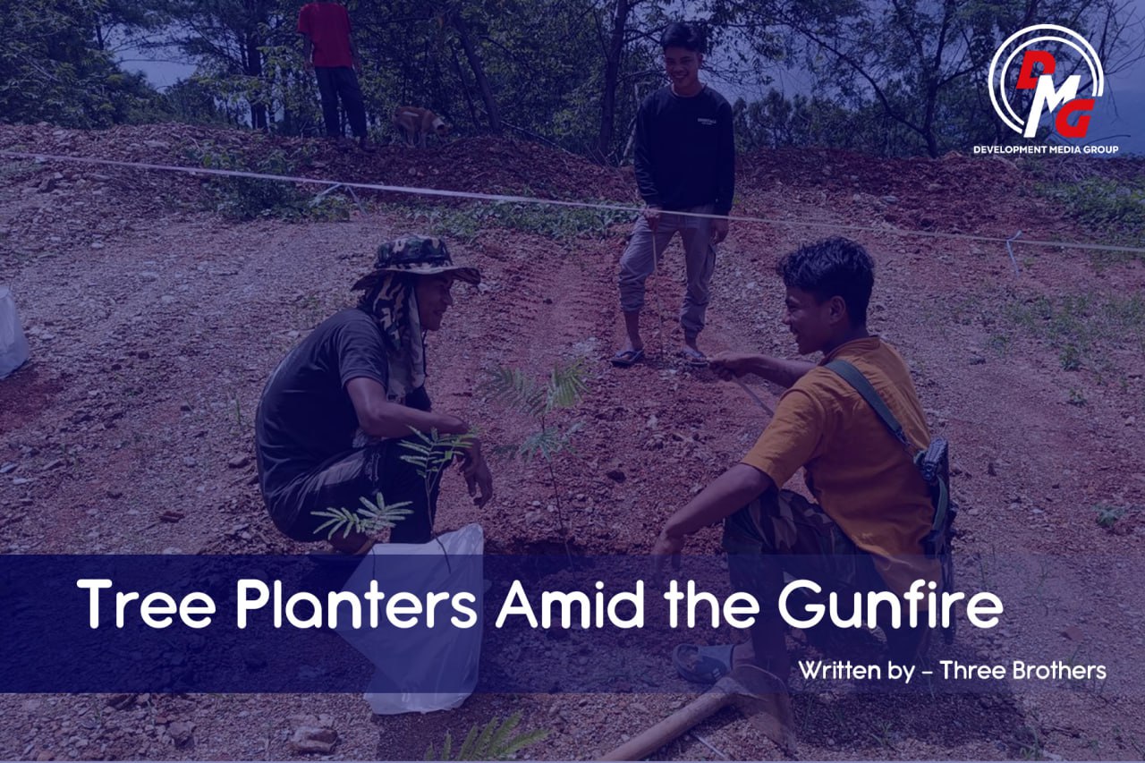 Tree Planters Amid the Gunfire
